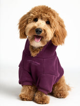 You Matter Paw Hoodie