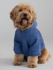 Standard Paw Hoodie - Pre-Order