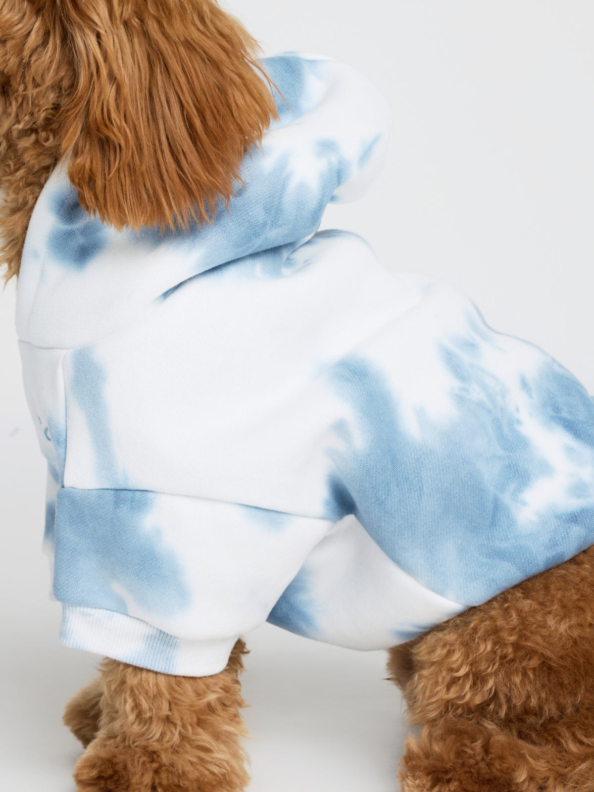Minimalist Paw Hoodie