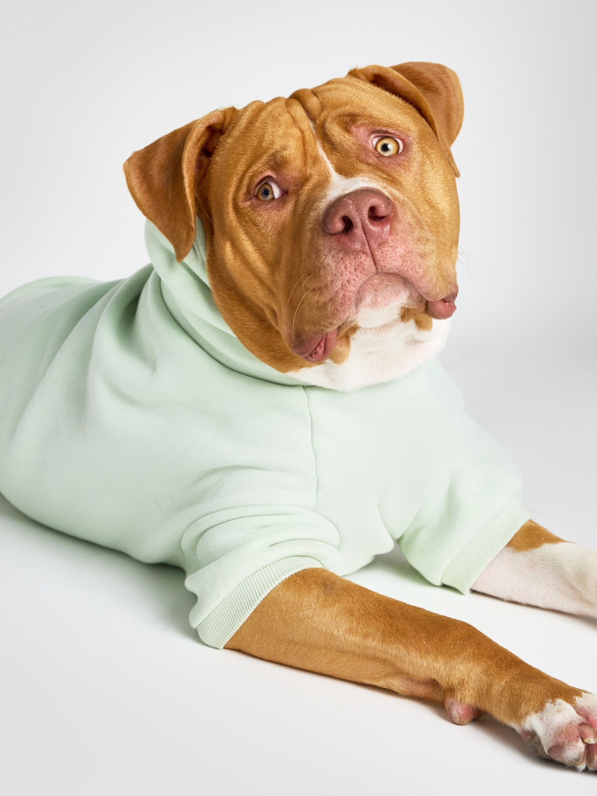 Pastel Paw Hoodie