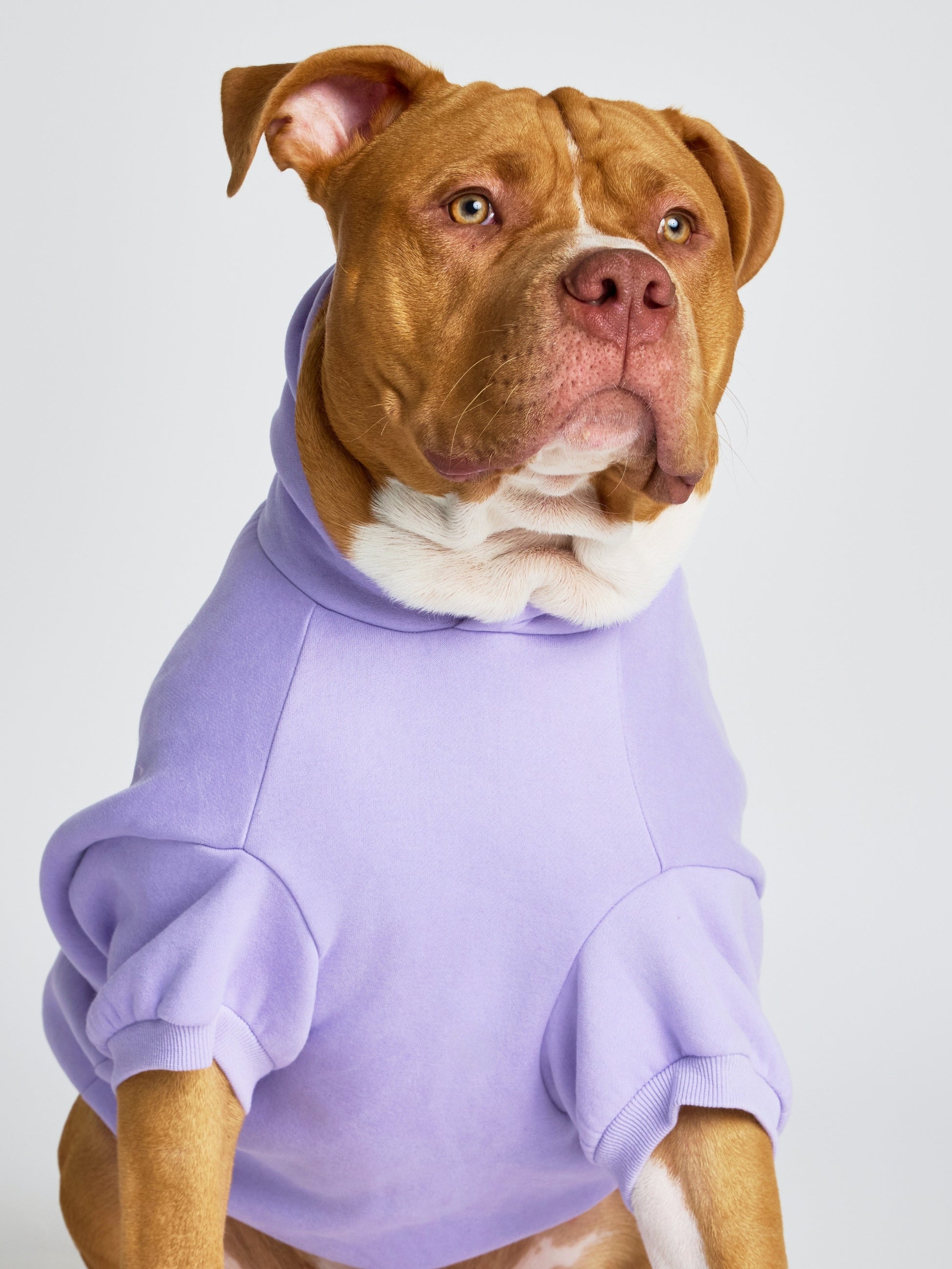 Pastel Paw Hoodie
